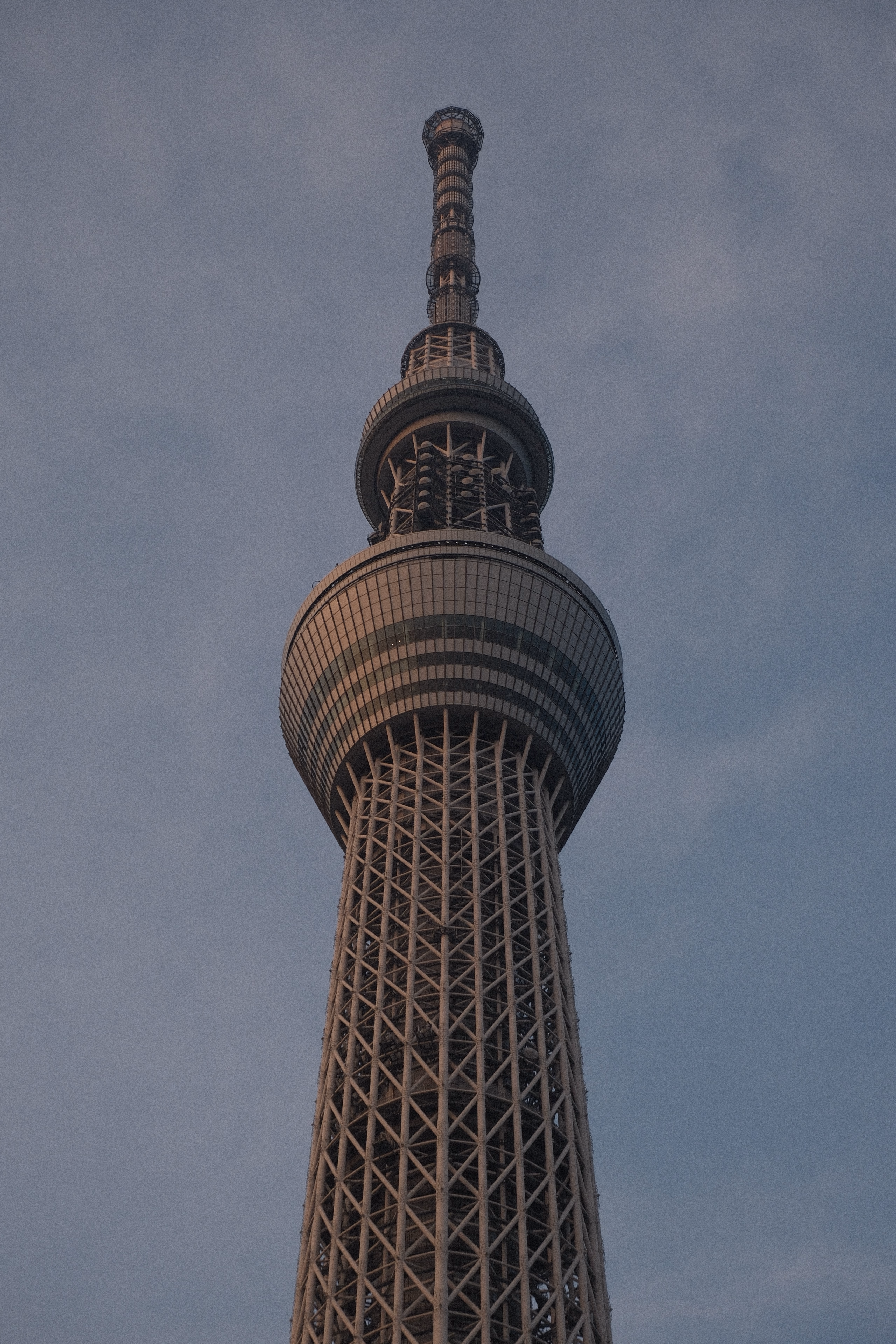 skytree